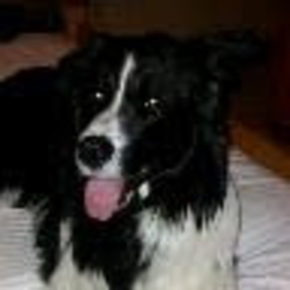 Meet your Posher, Melanie - Picture 1 of 1